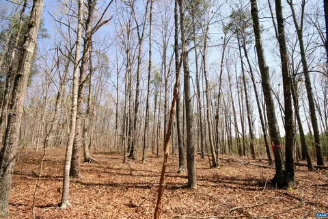 Tbd Pond Rd, Buckingham, VA 23921 photo 25