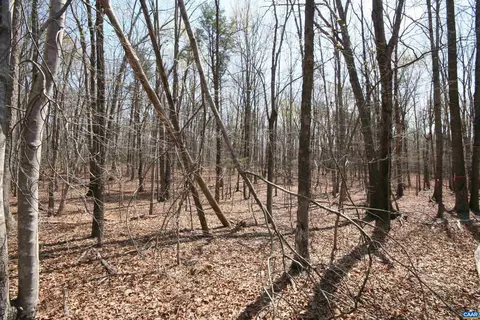 Tbd Pond Rd, Buckingham, VA 23921 photo 33
