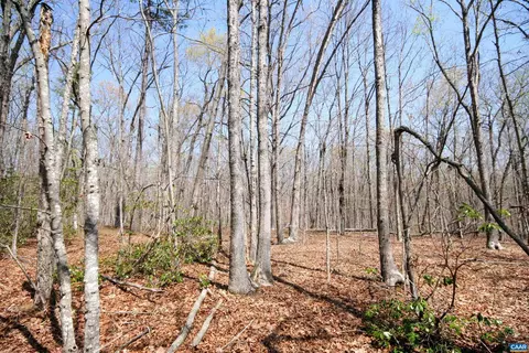 Tbd Pond Rd, Buckingham, VA 23921 photo 21