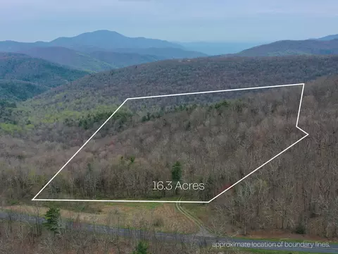 Tbd Blue Ridge Pkwy, Vesuvius, VA 24483