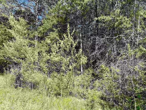 tbd Riverview Dr, Luray, VA 22835