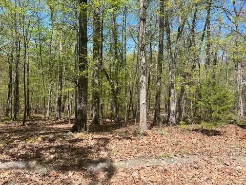 0 Wildwood Ln #LOT 24, Shenandoah, VA 22849