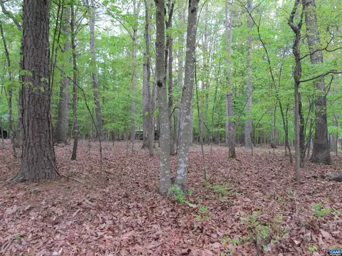163 Jefferson Dr, Palmyra, VA 22963