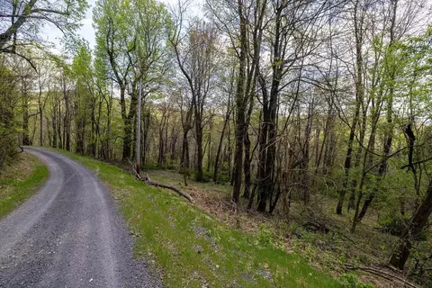 Off S Lake View Dr, Stanley, VA 22851 photo 27