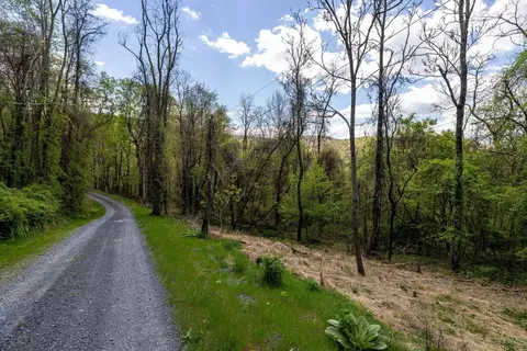 Off S Lake View Dr, Stanley, VA 22851 photo 26