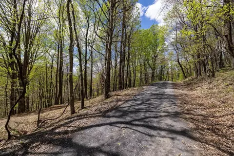 Off S Lake View Dr, Stanley, VA 22851 photo 22