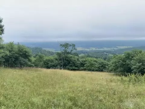 Tbd Mountain Tpke, Monterey, VA 24465