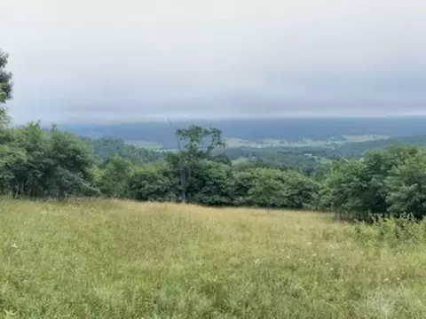 tbd Mountain Tpke, Monterey, VA 24465