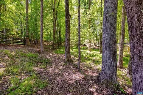 8 Locks Rd, Palmyra, VA 22963 photo 42