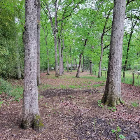 243 Dodge St, Stuarts Draft, VA 24477 photo 37