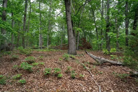 Exterior - Off N View Dr, Stanley, VA 22851 photo 3 of 5
