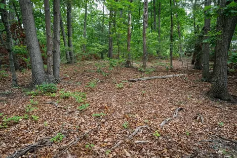 Exterior - Off N View Dr, Stanley, VA 22851 photo 1 of 5