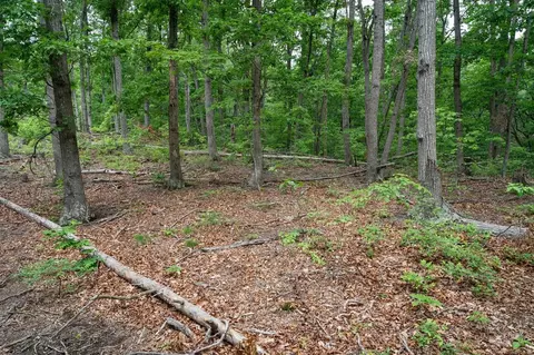Other - Off N View Dr, Stanley, VA 22851 photo 3 of 4