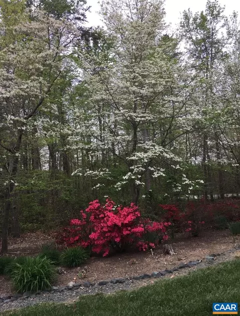 5589 Three Notch Rd, Louisa, VA 23093 photo 21