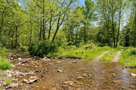 715 Davis Run, VA 24458 photo 14