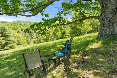 715 Davis Run, VA 24458 photo 65