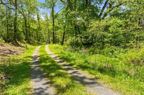 715 Davis Run, VA 24458 photo 11