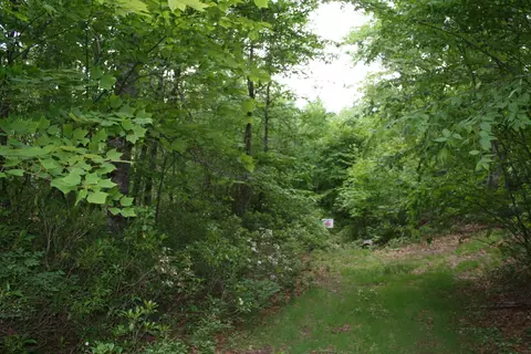 tbd High Vly S, Monterey, VA 24465