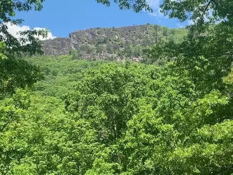 667 Elk Run Rd, Blue Grass, VA 24413 photo 7