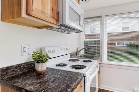830 Pine Ave, Waynesboro, VA 22980 photo 34