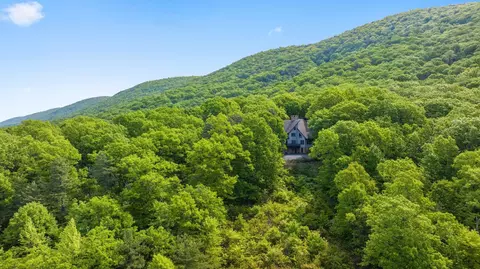 576 Mountain Laurel Dr, Mount Jackson, VA 22842 photo 72