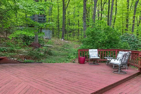 576 Mountain Laurel Dr, Mount Jackson, VA 22842 photo 66