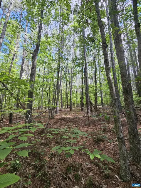 slate river trl, Arvonia, VA 23004