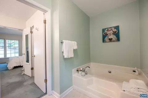 3 Condor Rd, Palmyra, VA 22963 photo 17