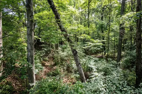 1131 Fleeburg Loop, Shenandoah, VA 22849 photo 59