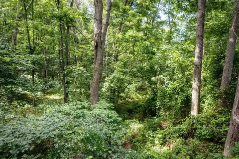 1131 Fleeburg Loop, Shenandoah, VA 22849 photo 58