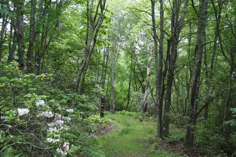Lot 92 Summit Dr #92, Monterey, VA 24465
