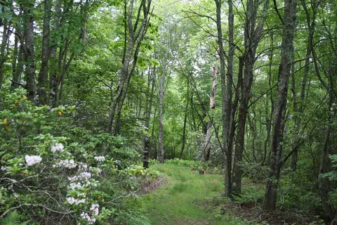 lot92 Summit Dr, Monterey, VA 24465