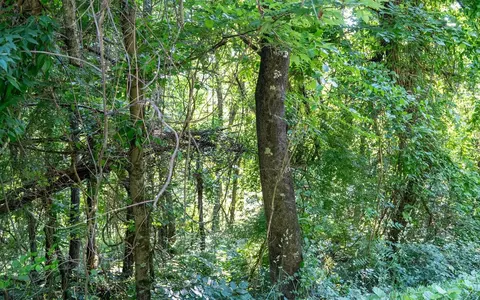 A33 Park Heights Rd, Stanley, VA 22851 photo 10