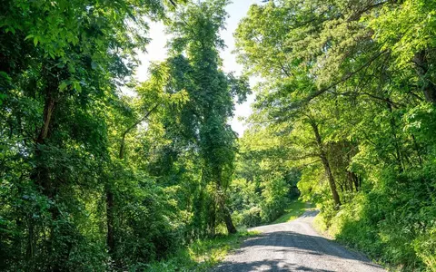 A33 Park Heights Rd, Stanley, VA 22851 photo 8