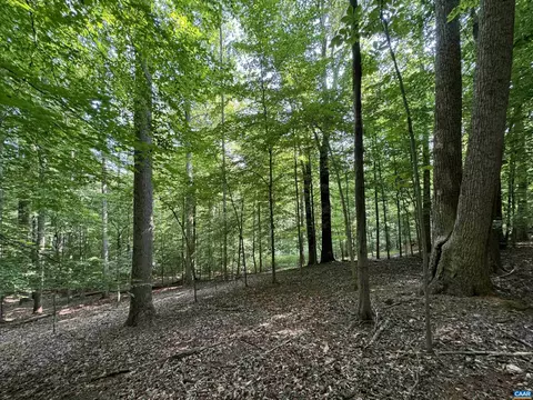 111 Ironwood Ln, Nellysford, VA 22958