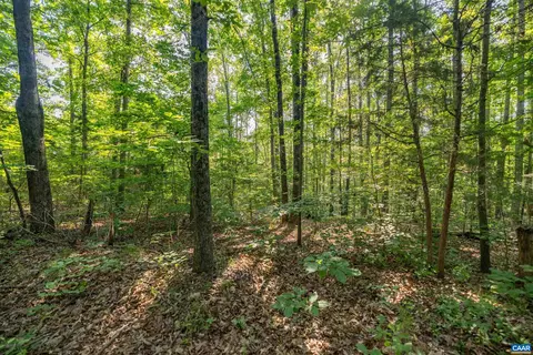 200 Stag Rd, Bremo Bluff, VA 23022 photo 8