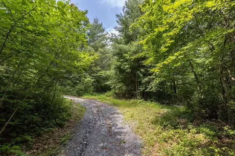 Old Resort Ln, Hinton, VA 22831