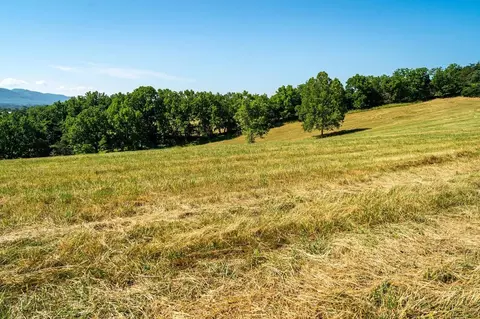 Off Shuler Ln, Stanley, VA 22851 photo 11