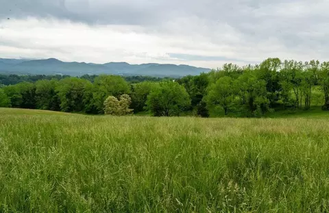 Off Shuler Ln, Stanley, VA 22851