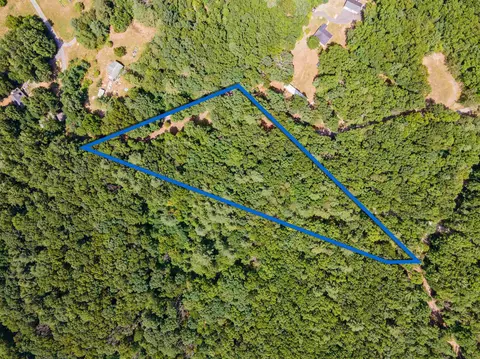 487 Jollett Ln, Elkton, VA 22827