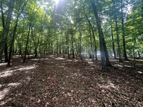 tbd Curry Rd, Mount Solon, VA 22843 photo 18