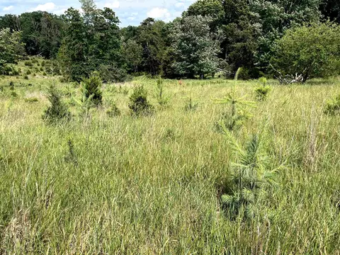 tbd Curry Rd, Mount Solon, VA 22843 photo 10