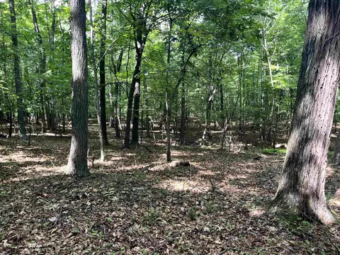 tbd Curry Rd, Mount Solon, VA 22843 photo 17