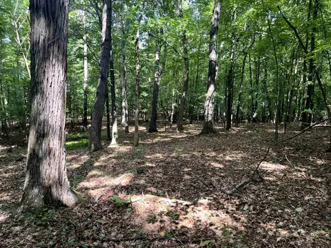 tbd Curry Rd, Mount Solon, VA 22843 photo 15