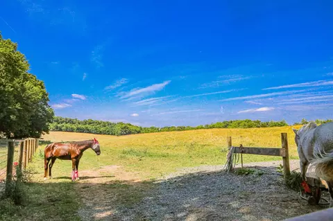 435 Lofton Rd, Raphine, VA 24472 photo 47