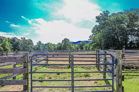 435 Lofton Rd, Raphine, VA 24472 photo 15