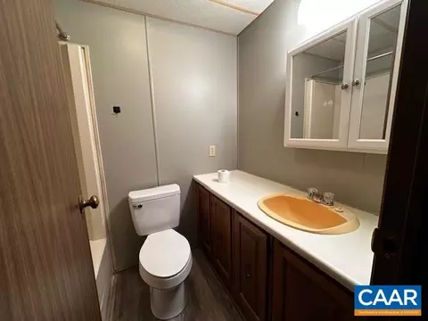 430 Plain Dealing Rd, Palmyra, VA 22963 photo 9