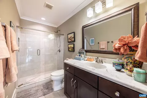 1305 Dabney Grv, Charlottesville, VA 22901 photo 46