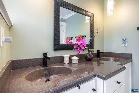 1305 Dabney Grv, Charlottesville, VA 22901 photo 42