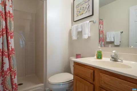 972 Devon Spring Ct, Charlottesville, VA 22903 photo 14